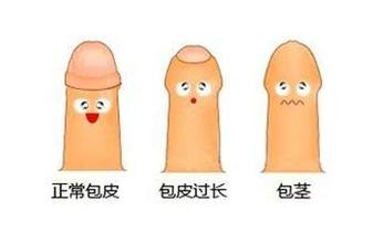 ��Ƥ����